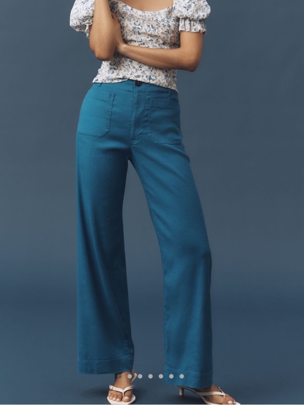 Anthropologie COLETTE Full-Length Linen Pants Maeve NEW 27 Blue - Picture 3 of 12